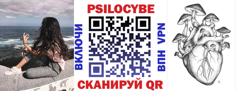 Псилоцибиновые грибы ЛСД где найти Закаменск